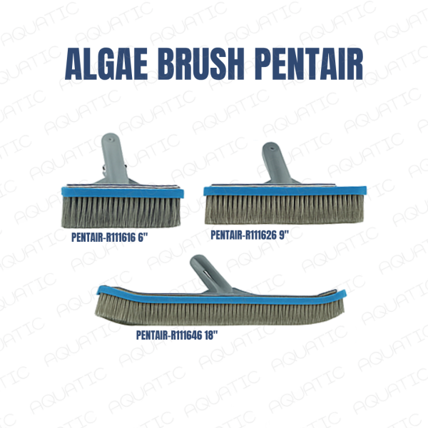 PENTAIR POOL ALGAE BRUSH (PENTAIR SIKAT KAWAT PENGHILANG LUMUT/ALGA)