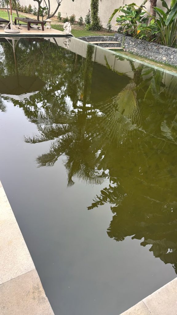 Foto Kolam renang di Bintan sebelum dilakukan pembersihan